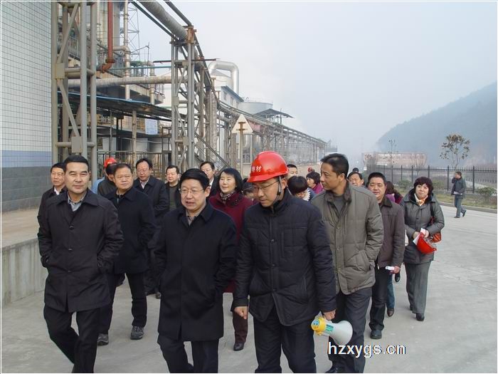 點擊查看放大圖