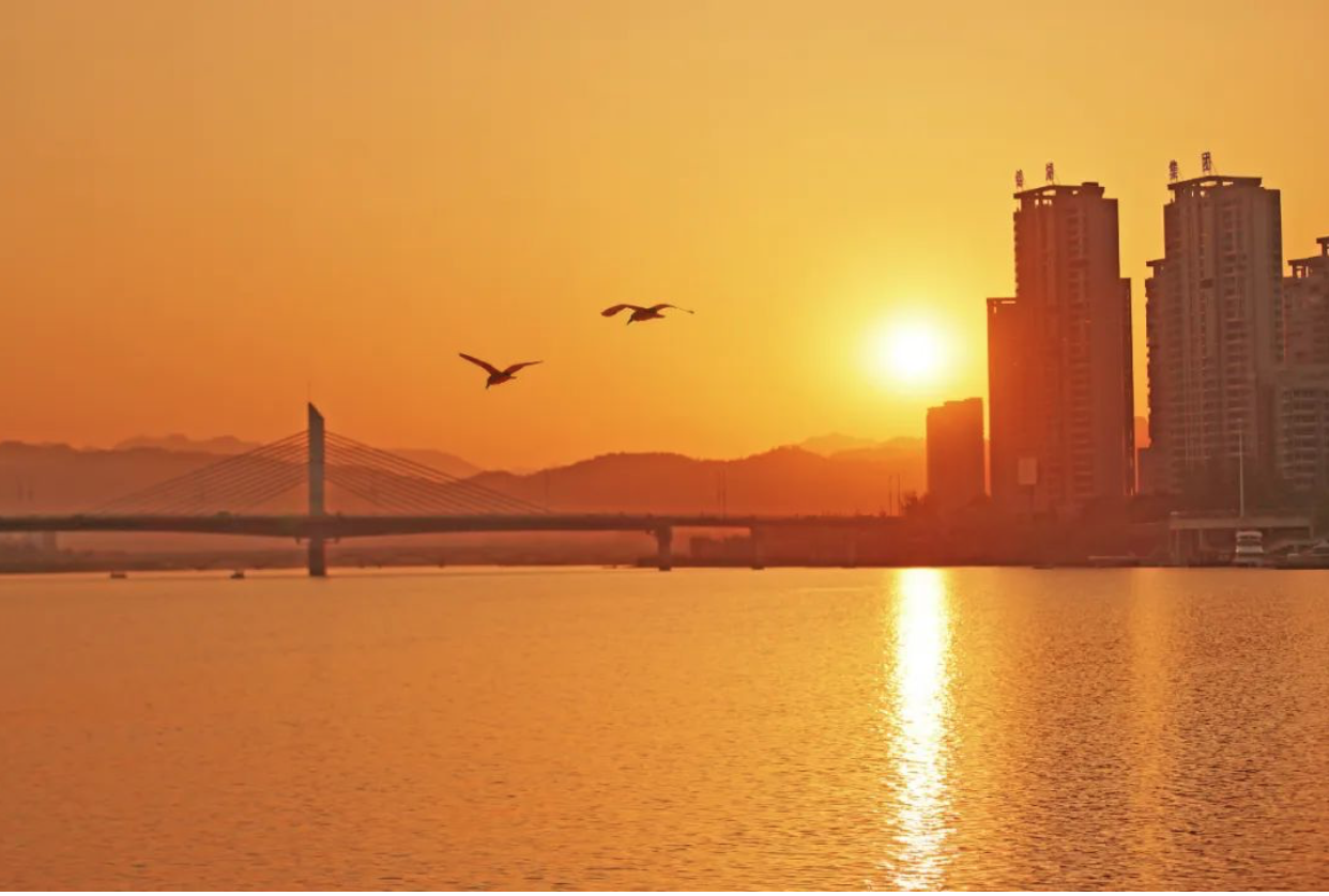 1654568714154774.png 1.png